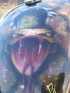 snake by Salvo Musumeci Aerogr