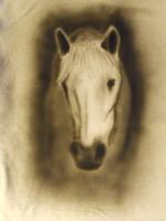 vidal by  Nimue