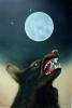Moonlite by  Novelloart