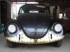 special BUG by  Omar Kustom