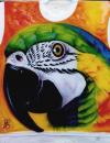 Tshirt by  Orzodesign