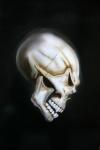 Floating Skull by  Pain Inc