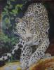 Paolo Paoli leopardo