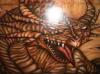 red dragon by  Plz