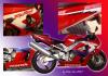 cbr 900 rr by Peter Pen