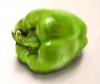 Green, green everywhere!! by Arthur Neto