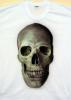 Old Skull... by Arthur Neto