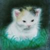 gattino by Renzo Mazzini