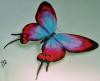 butterfly by Renzo Mazzini