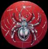 ragno by Renzo Mazzini