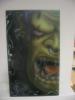 PS2 Wow by Paolo Volp Pro Brush