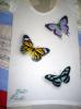 Butterflies by  Dirt Paint