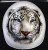 white tiger by Sheila Pizzighello