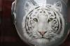 casco tigre_particolare by Sheila Pizzighello