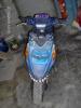 frankie shark by  Sisco Boy