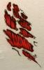 t-shirt3 di  Slipknik