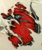 t-shirt1 di  Slipknik