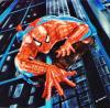 spiderman 08 by Stefano Franciosi