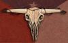 Texas Cow Skull by Gary Zuyus