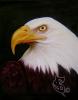 Eagle by Felipe Xtremair