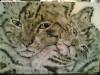 Gatti by  Zen Airbrus